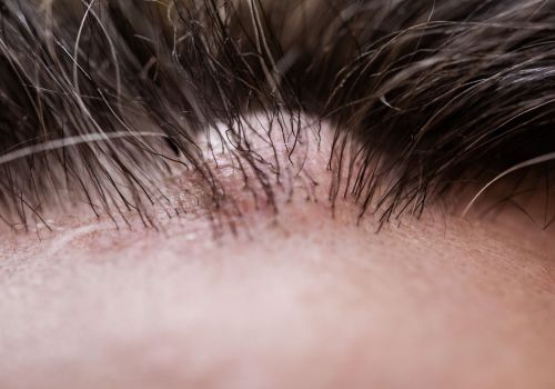 shutterstock_1431416699.jpg